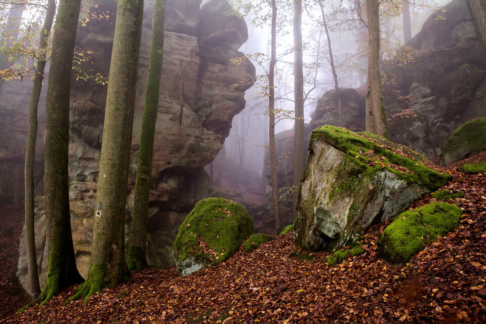 Hohe, teils moosüberzogene Felsformationen bilden ein faszinierendes Naturschauspiel.