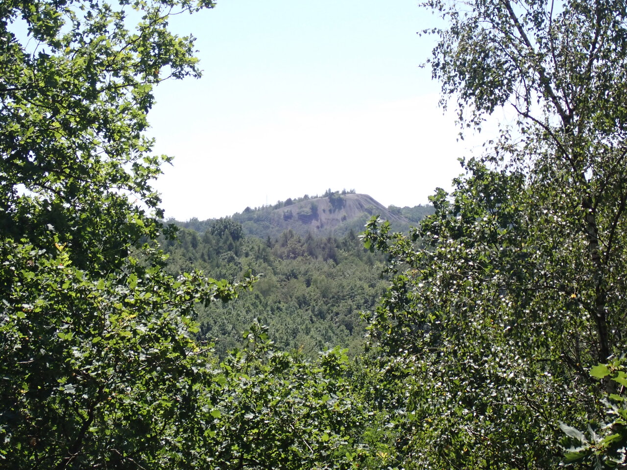 Grühlingshalde